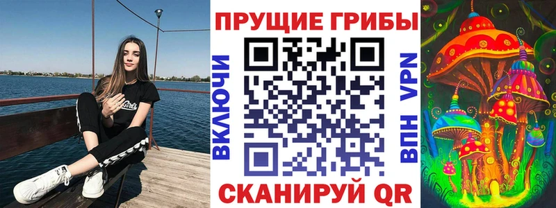 кракен зеркало  Меленки  Галлюциногенные грибы Psilocybine cubensis 